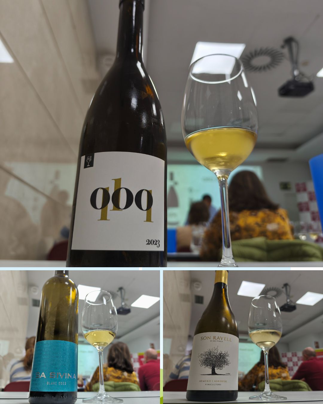 Cata de vinos del Pla i Llevant con Xisca Adrover en la Escuela Española de Cata