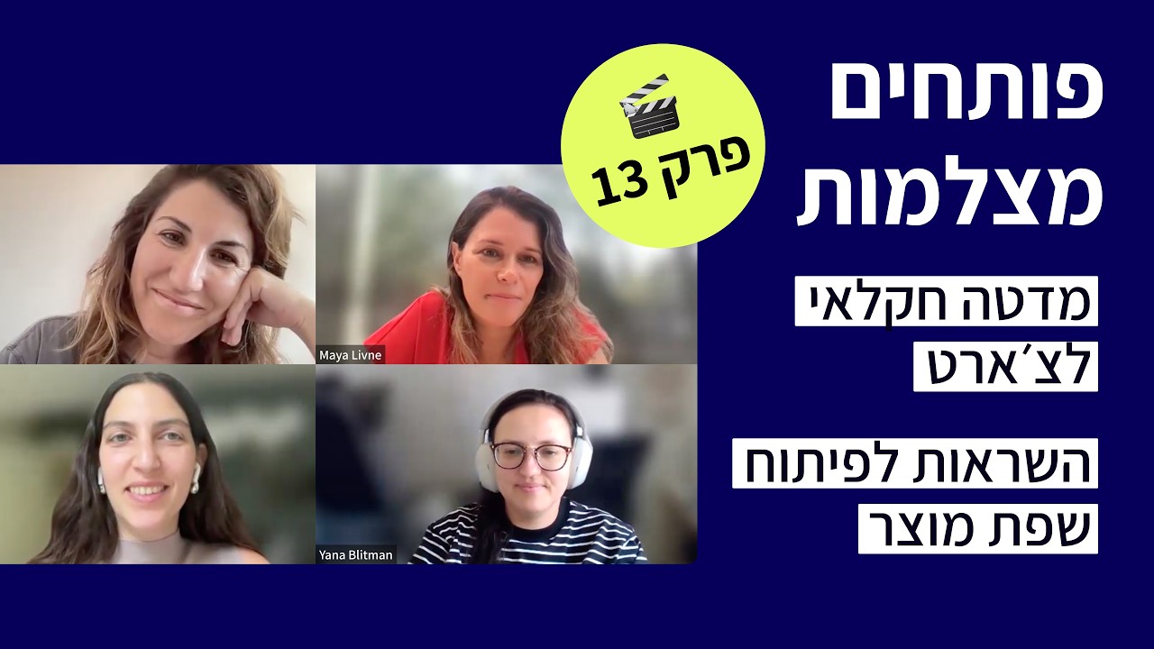 פרק 13 - מדטה חקלאי לצ׳ארט והשראות לפיתוח שפת מוצר