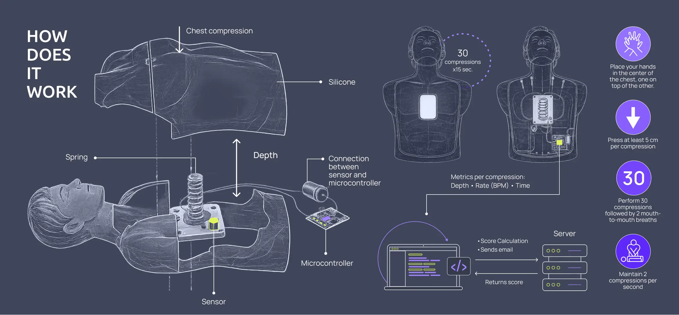 Infographic of a CPR training manikin