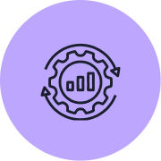 icon continuous optimization and scale