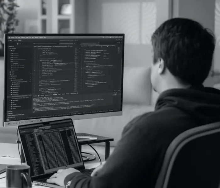 A web developer doing an integration between different technologies applied to healthcare.