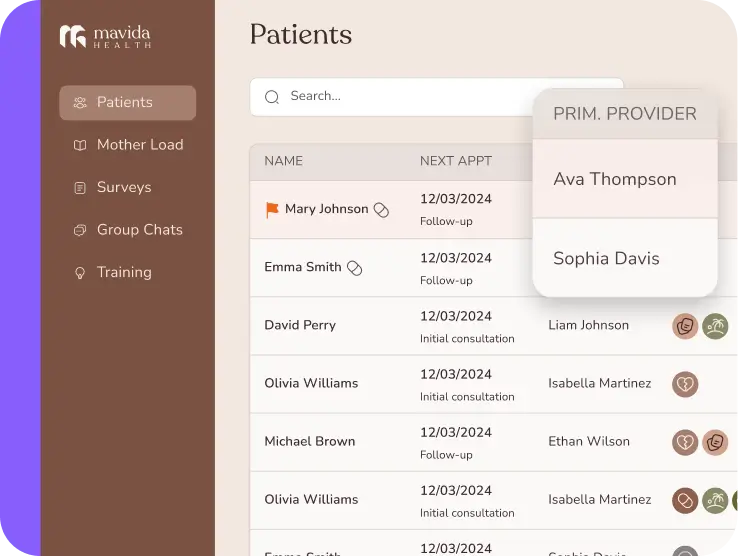 Mavida patient management panel showing care ownership and primary provider assignments