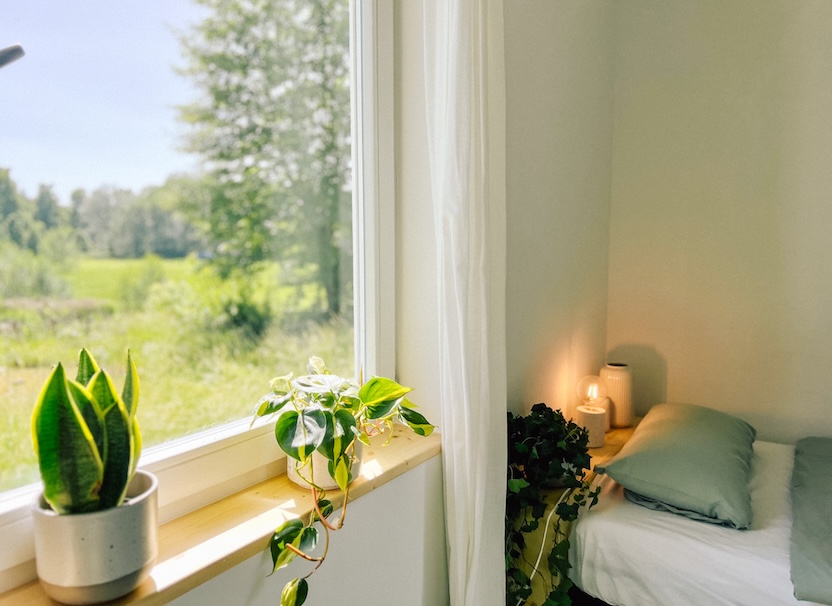 Heller Raum mit Blick ins Grüne, Pflanzen auf Fensterbrett und Bett in einem Bungalow in Neupitz.