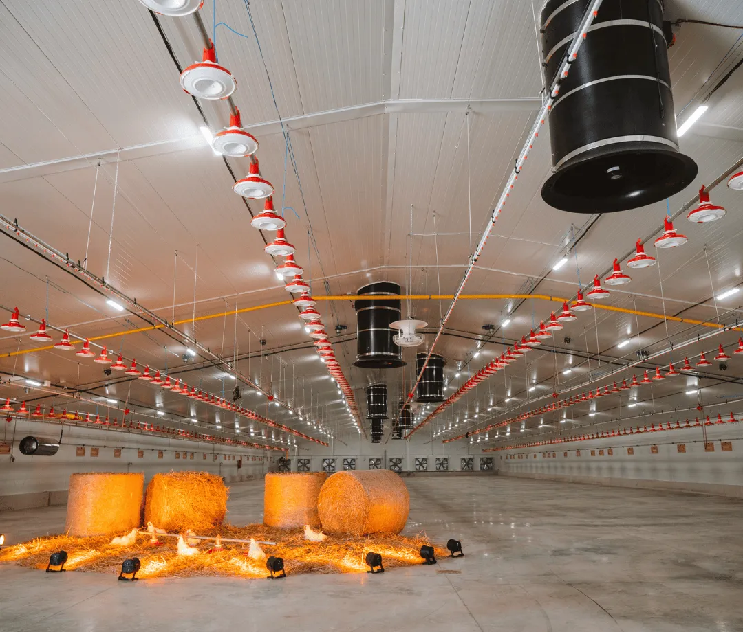 Nová hala na našej najväčšej farme.  