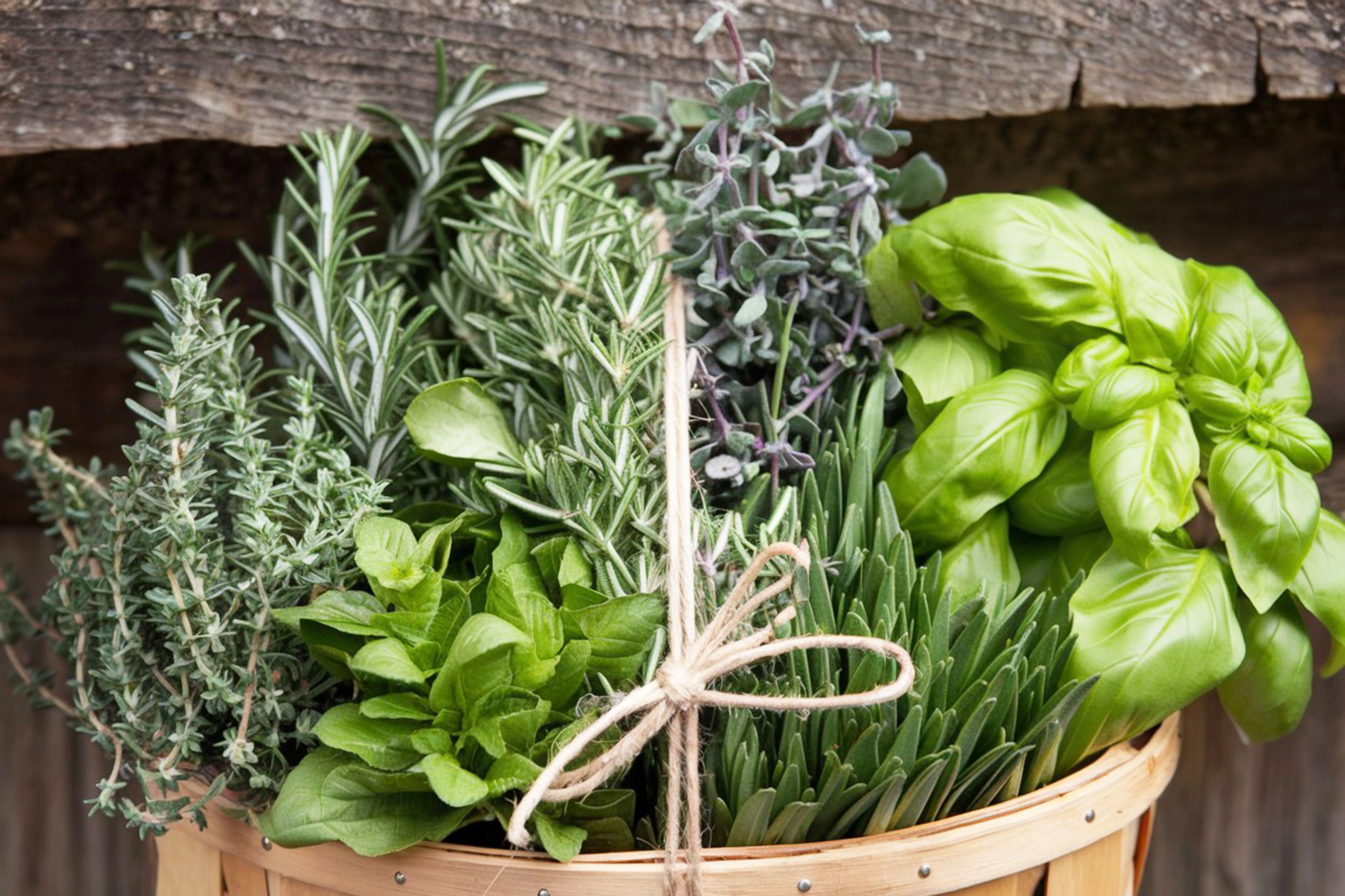 15 najlepších byliniek na dochutenie jedál a mäsa