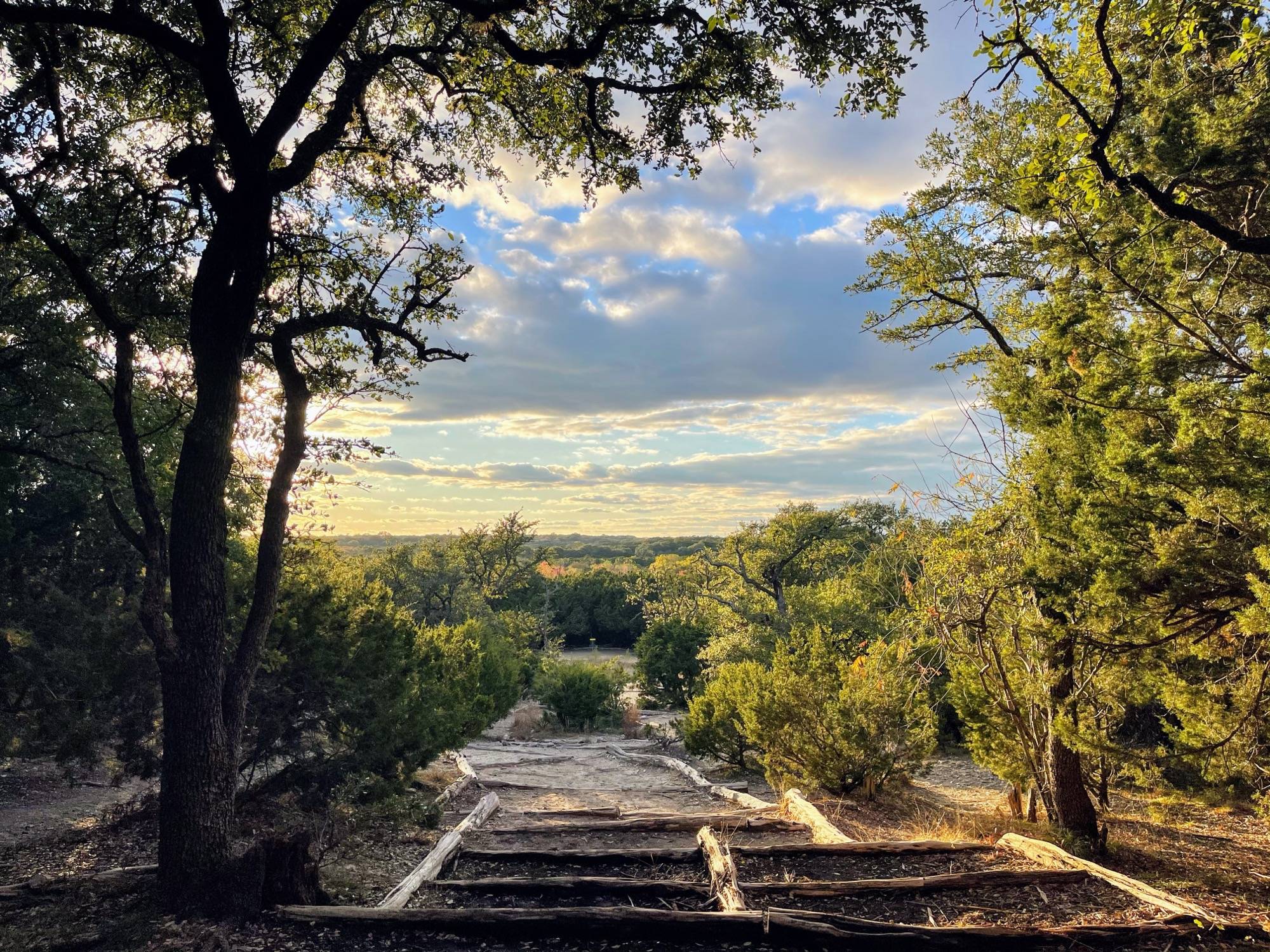 Homes and streets in Southpark Meadows TX