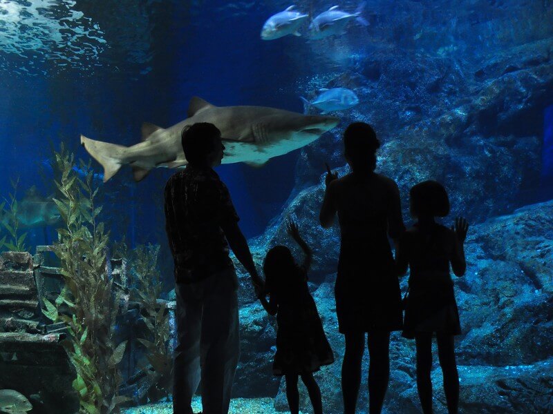 Milwood neighborhood in Central Texas