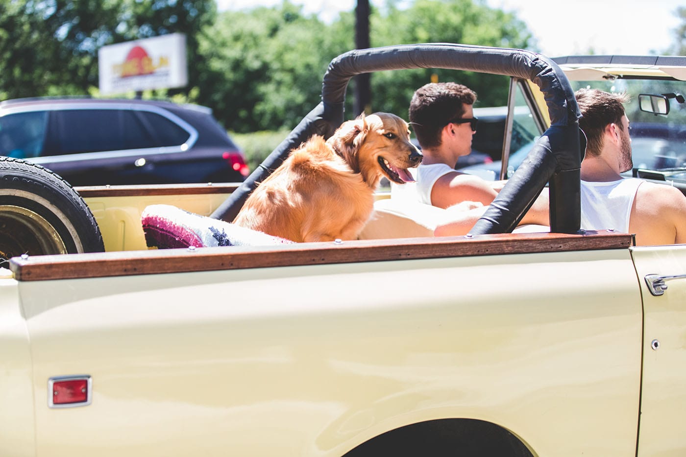 Homes and streets in Zilker TX