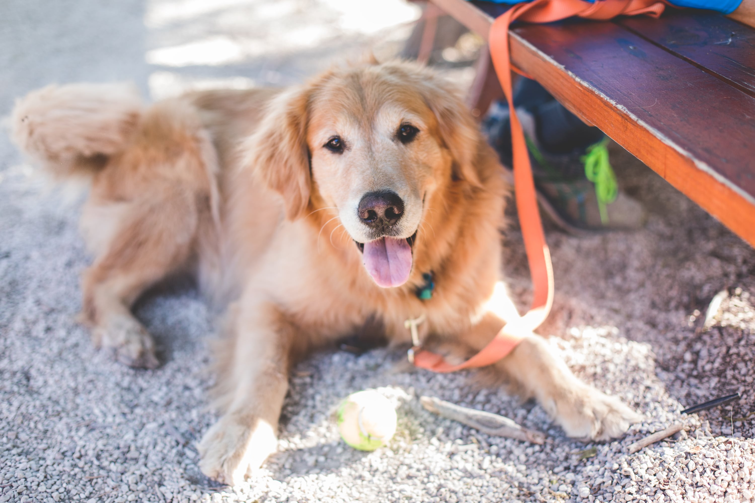 Rollingwood neighborhood in Central Texas