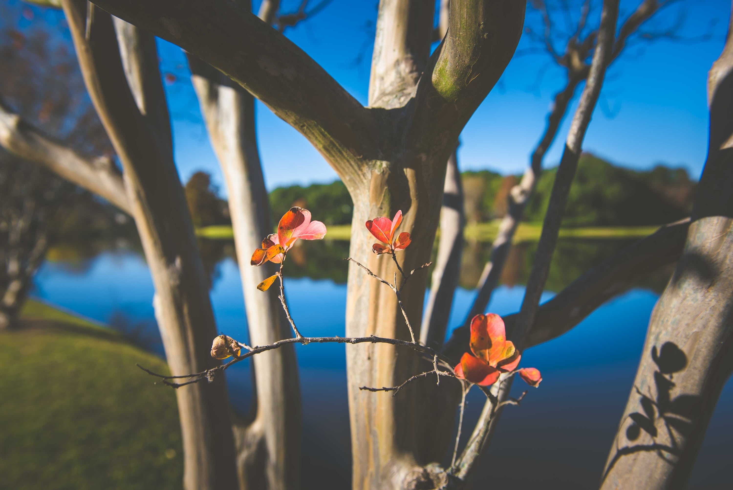 Onion Creek TX neighborhood amenities and surroundings