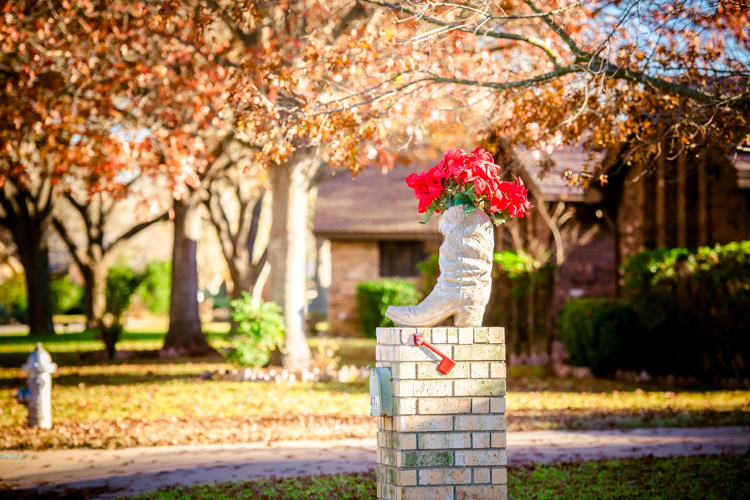 Streetscape in Onion Creek Central Texas