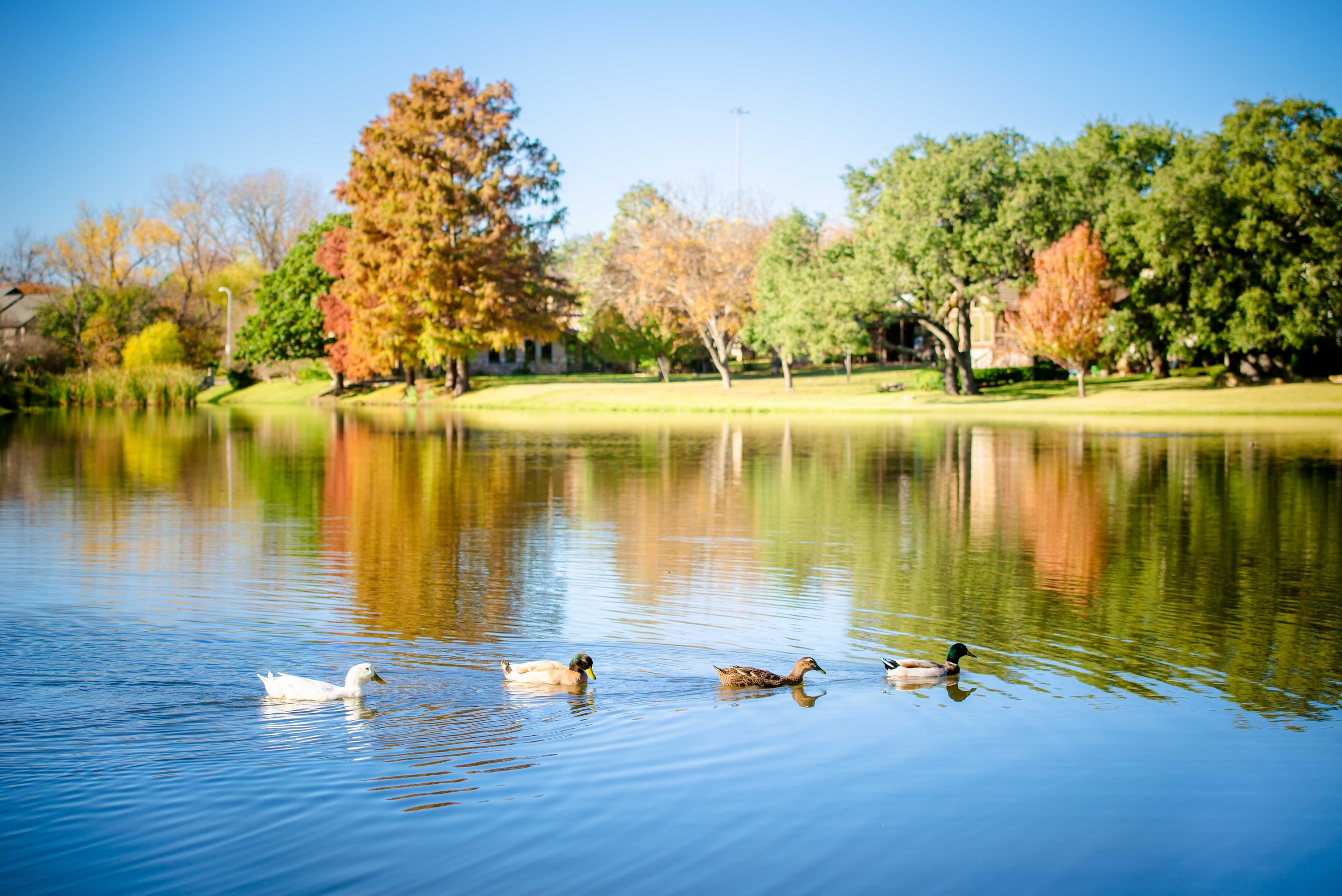 Onion Creek area homes and community