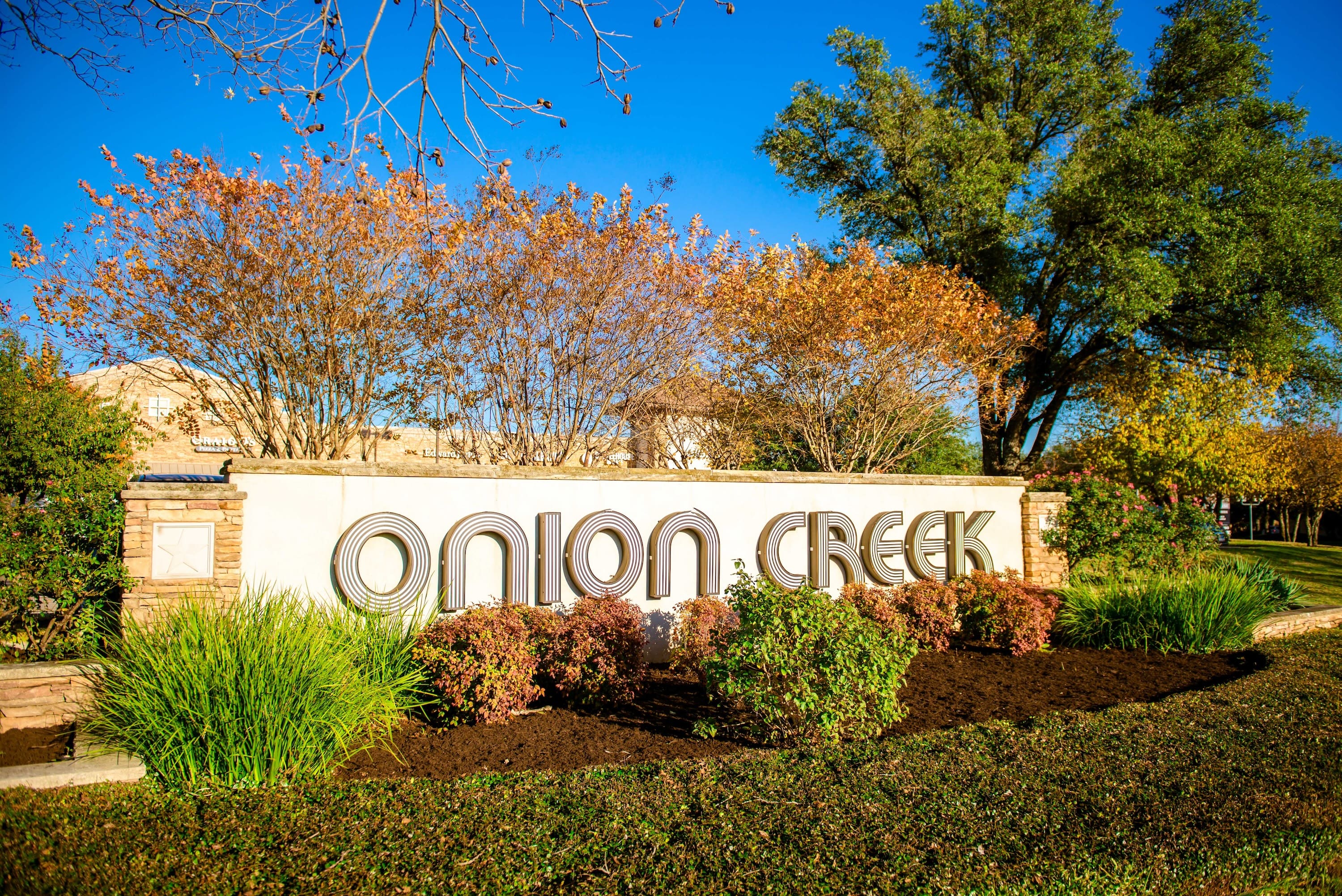 Onion Creek neighborhood homes and living