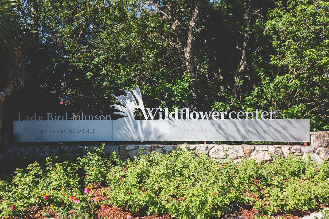 Homes and streets in Circle C TX