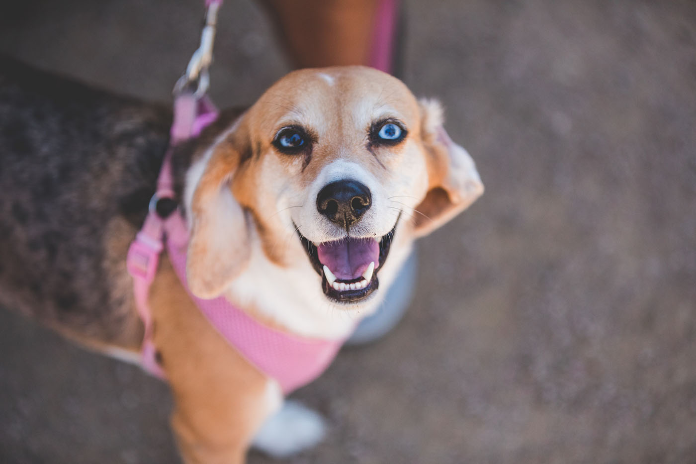 Real estate in Barton Hills Texas area