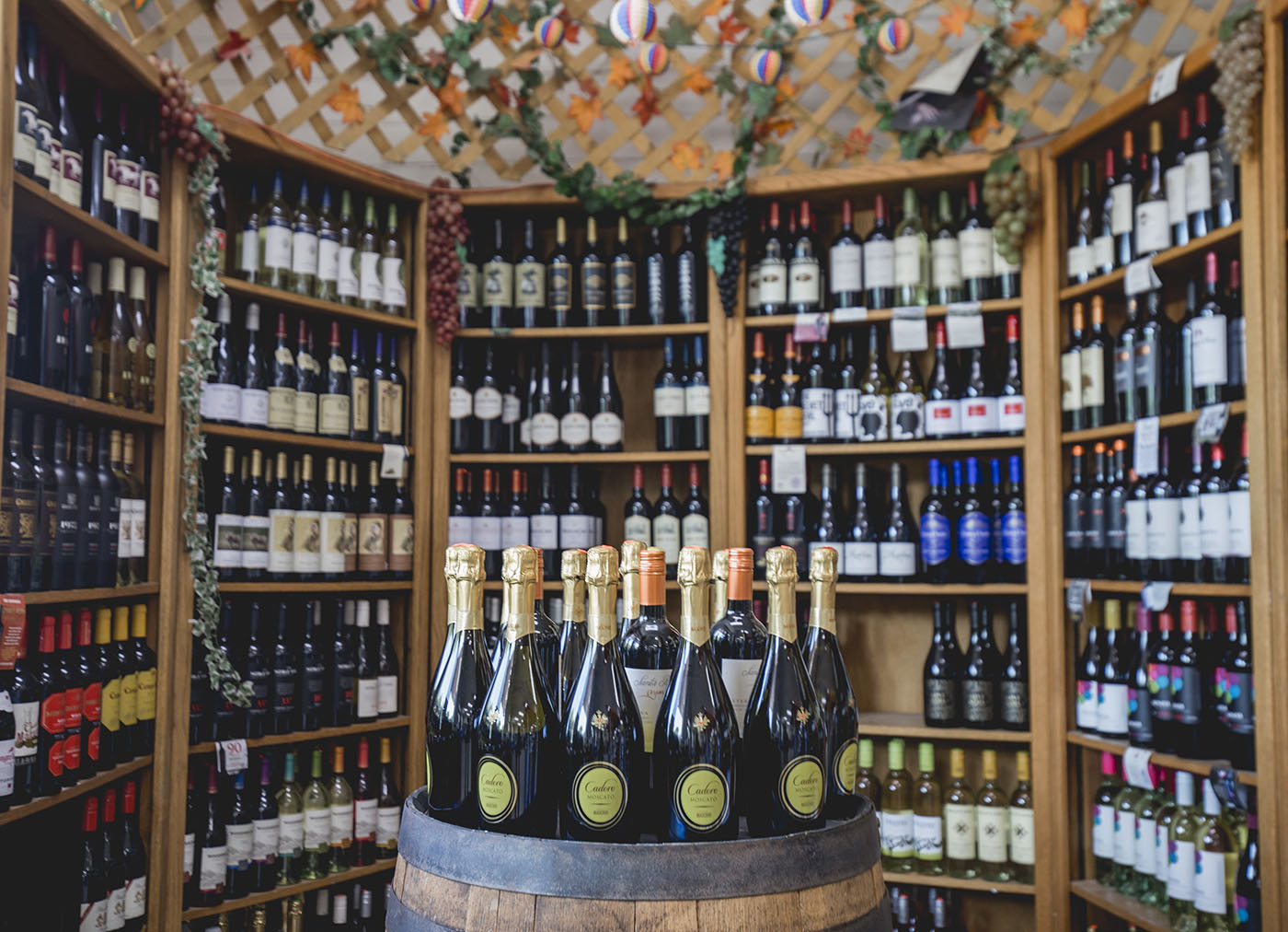 Homes and streets in Hyde Park TX