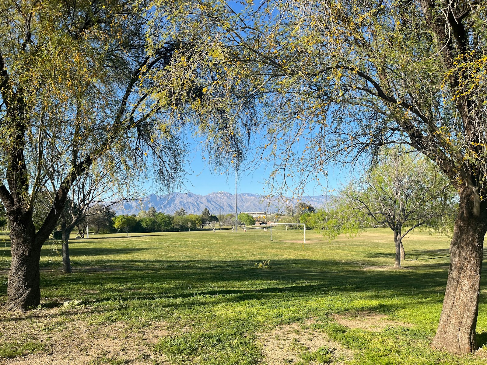 Vista del Camino Park, Scottsdale