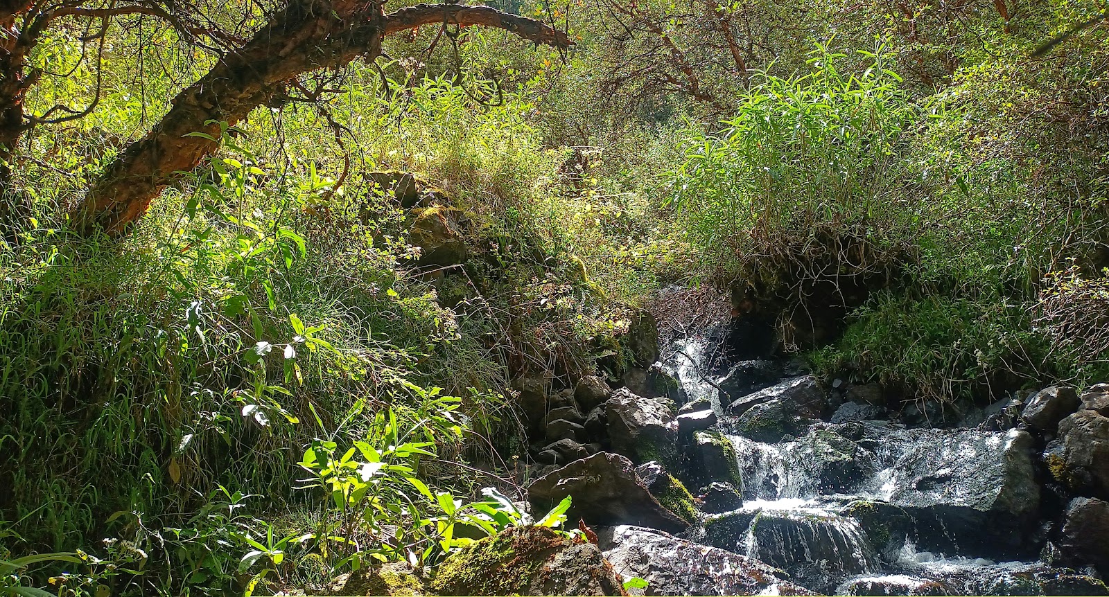 Indian Bend Wash Greenbelt, Scottsdale