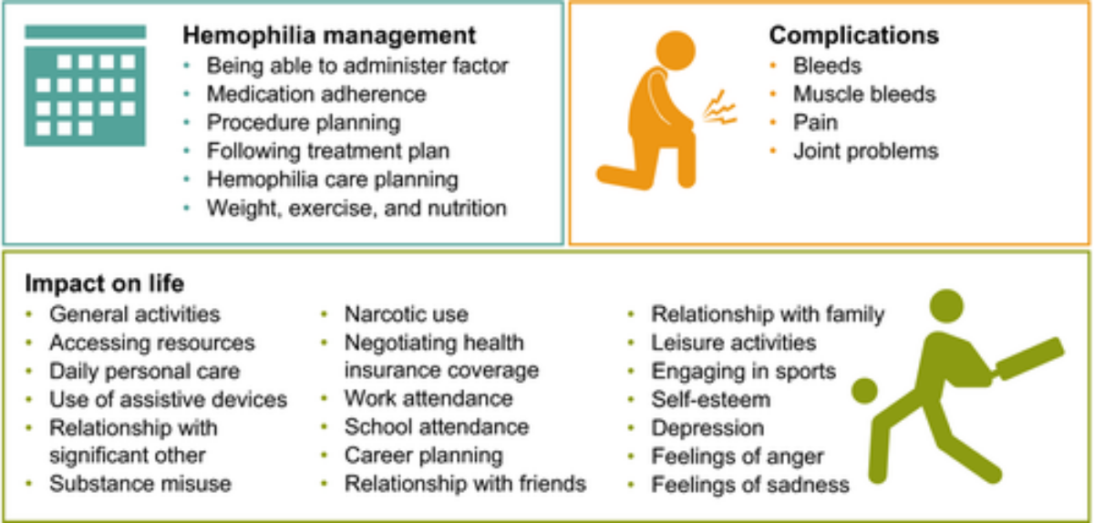 The GOAL-Hēm journey: Shared decision making and patient-centered outcomes