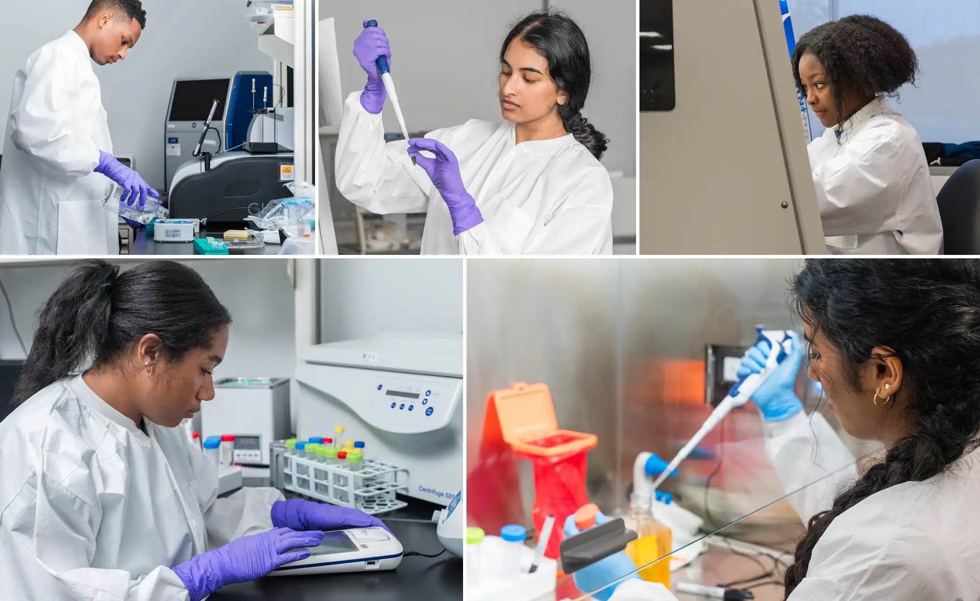 5 photo collage of interns working in the lab with various equipment