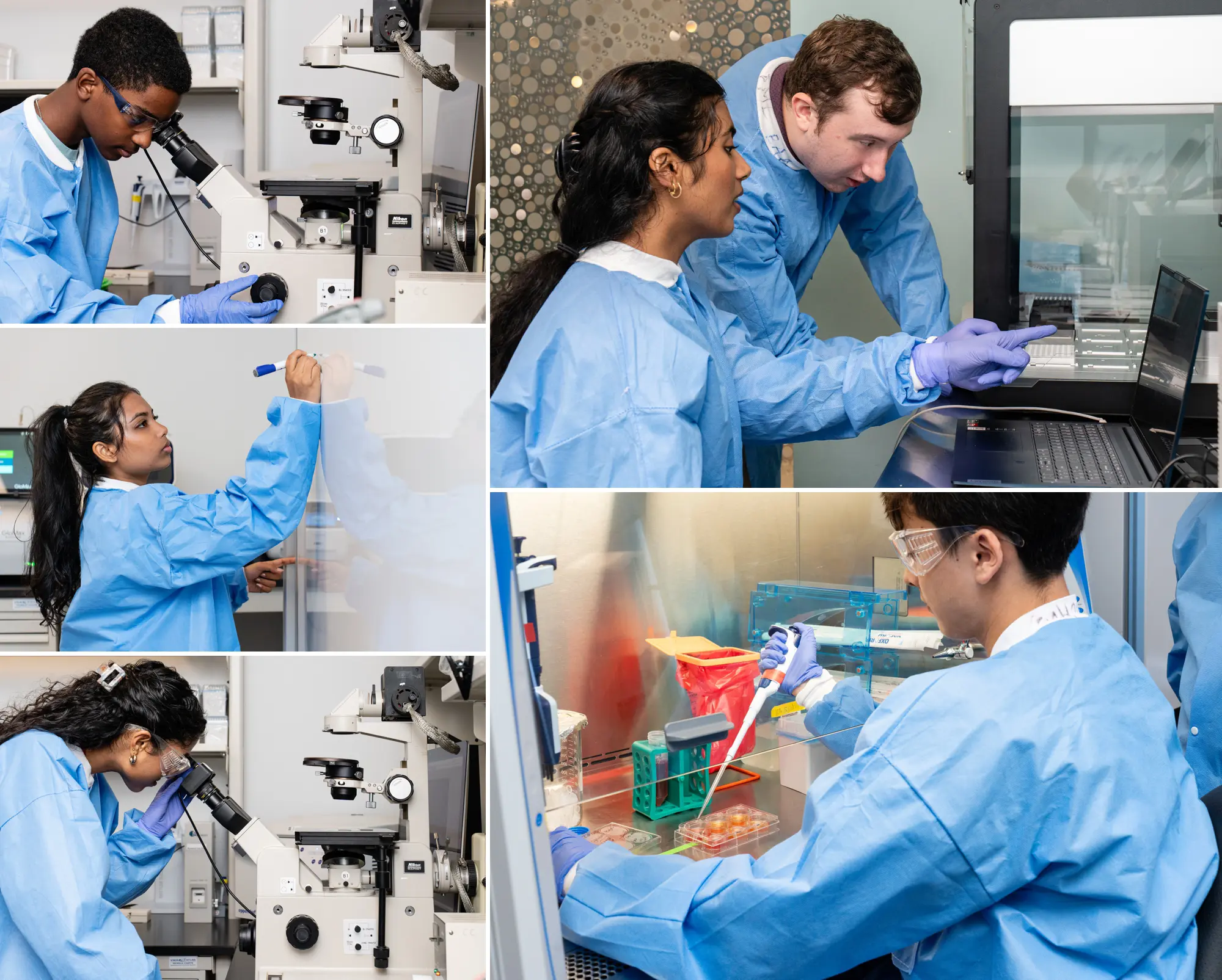 5 photo collage of interns working in the lab with various equipment