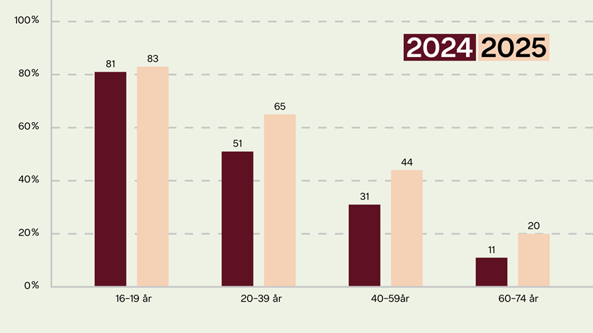Brug af AI i Danmark