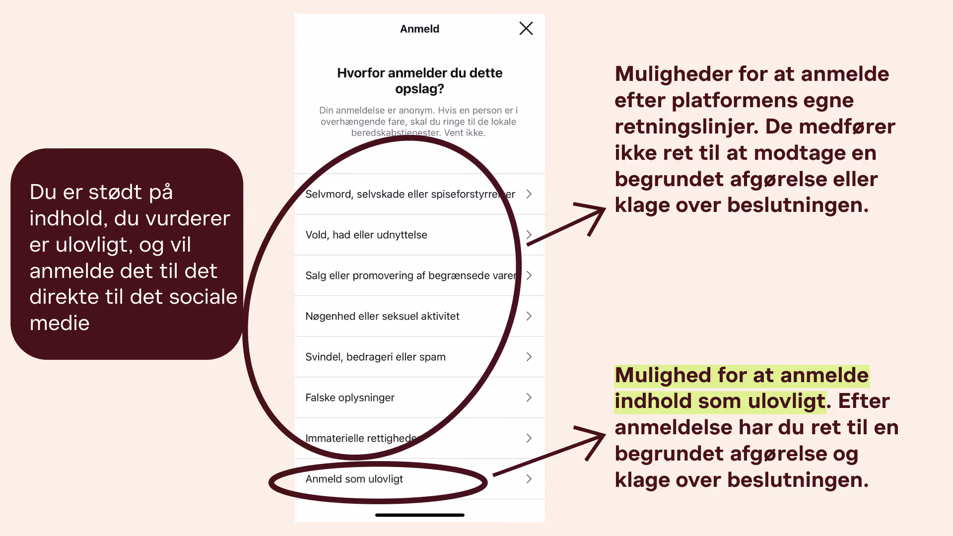 Screenshot fra et sociale medie, der viser oversigten over anmeldelse af skadeligt og ulovligt indhold