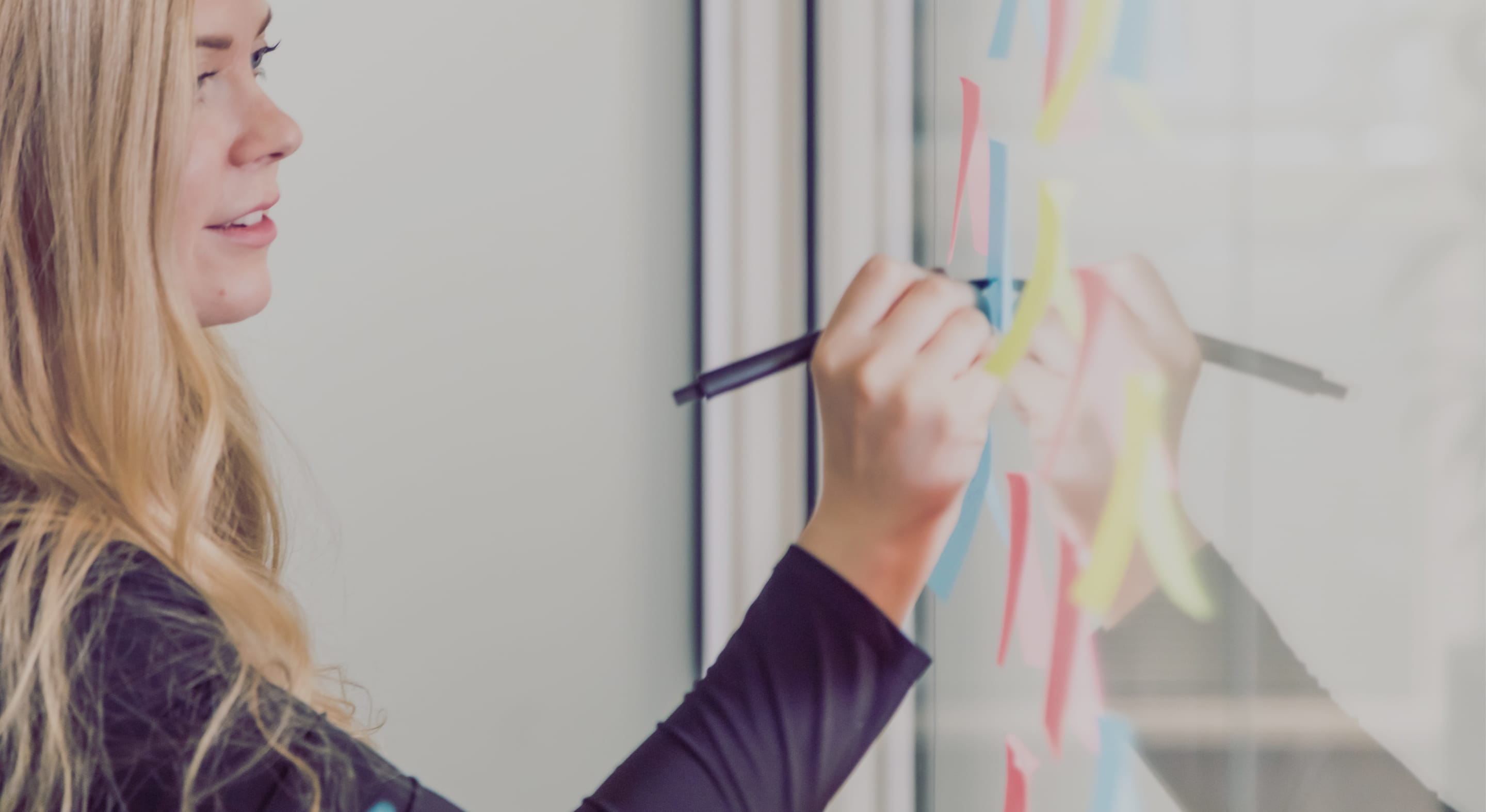 Harri – harjoittelu haltuun