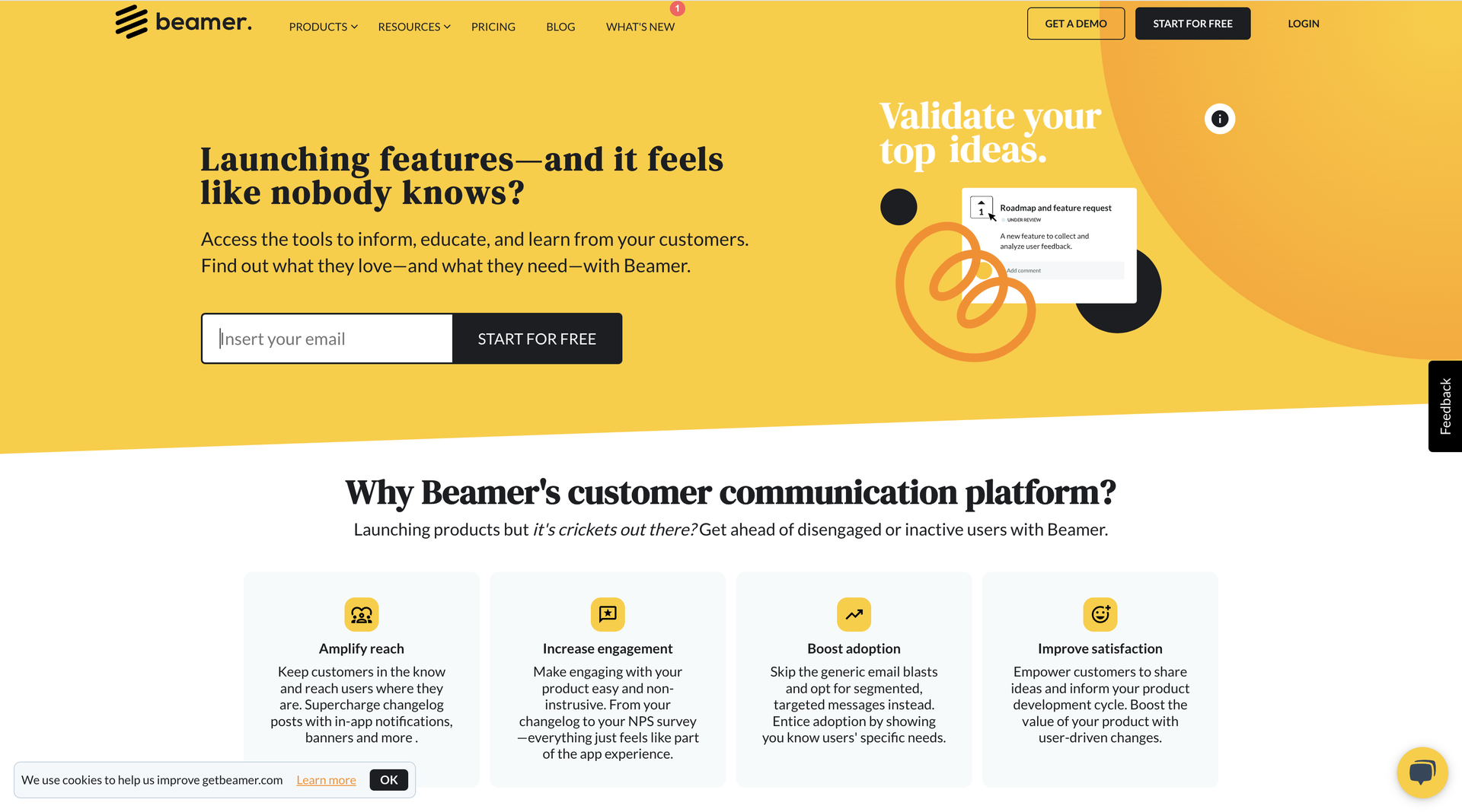 beamer home page image