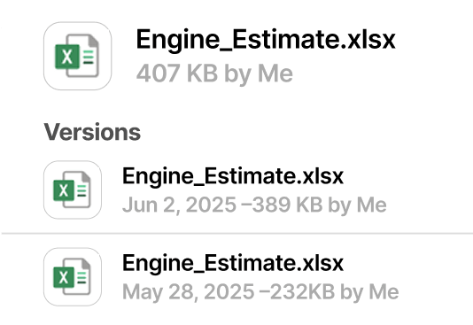 Version control in NetSuite