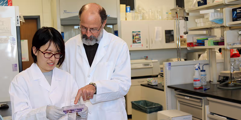 Doctor helps medical student. 