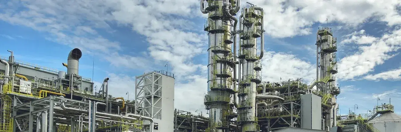 Программа Sarex при строительстве химических предприятий