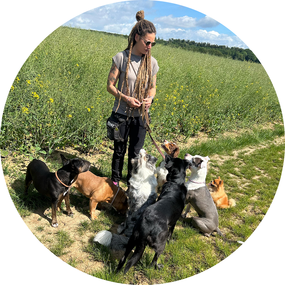 Sina Hesse - Trainerin und Hundemasseurin