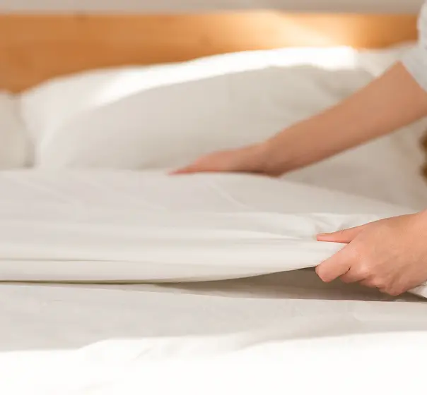 Property cleaning and care services