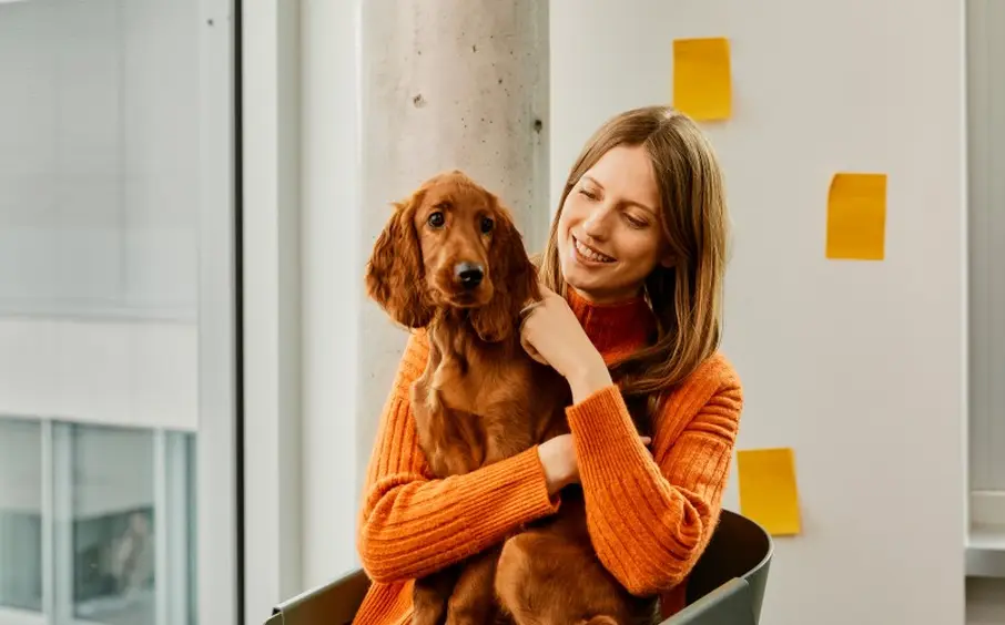 Owner at home with her dog checking bookings
