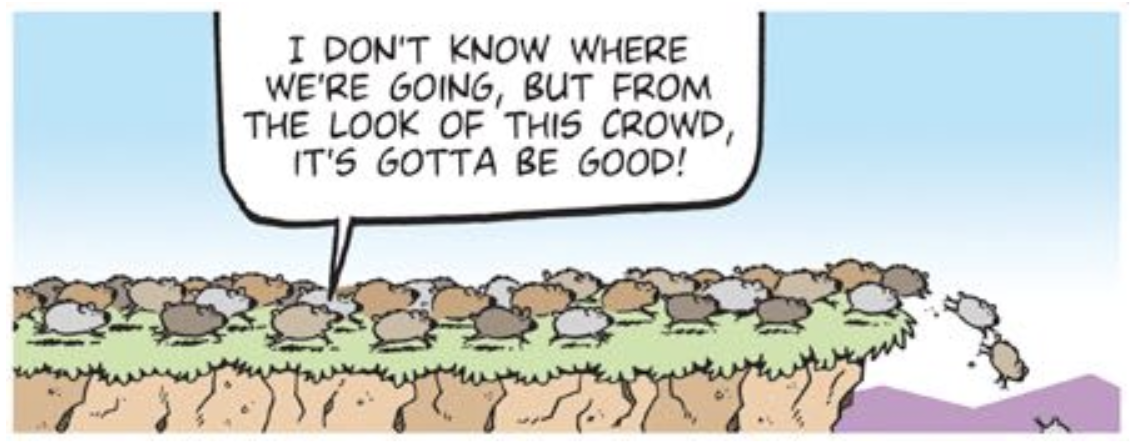 Lemmings running off a cliff.  Humans herd, we panic and FOMO together.