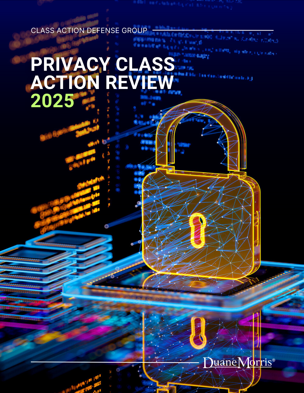 Cover of Privacy Class Action Review – 2025