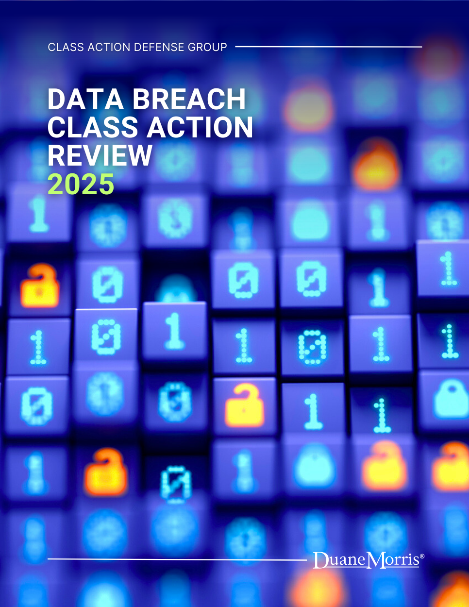 Cover of Data Breach Class Action Review – 2025