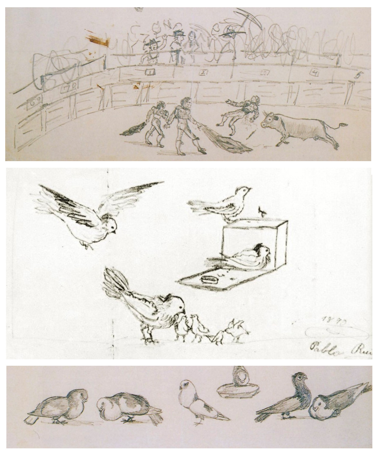 Picasso Childhood Sketches