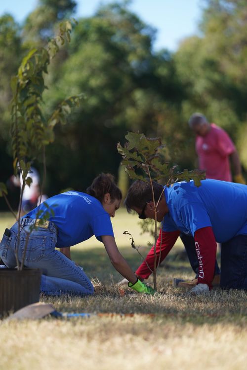 Technip Energies planting with Livelihood Projects