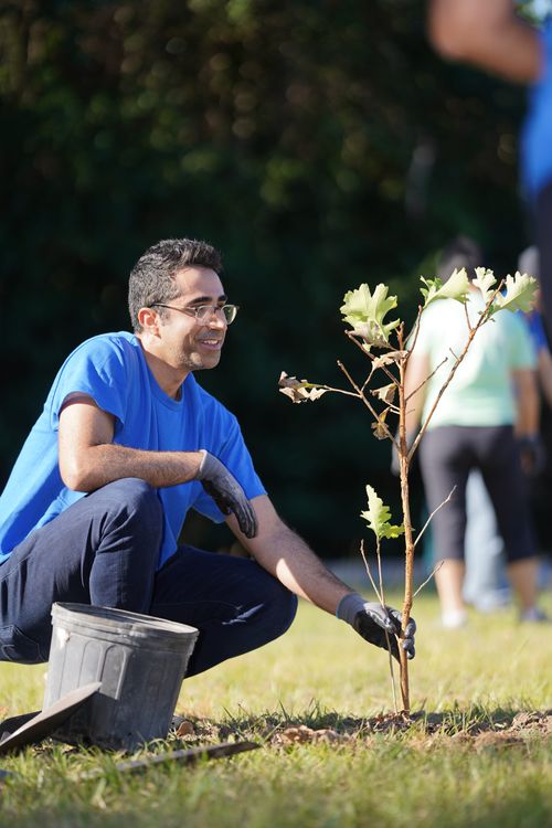 Technip Energies planting with Livelihood Projects