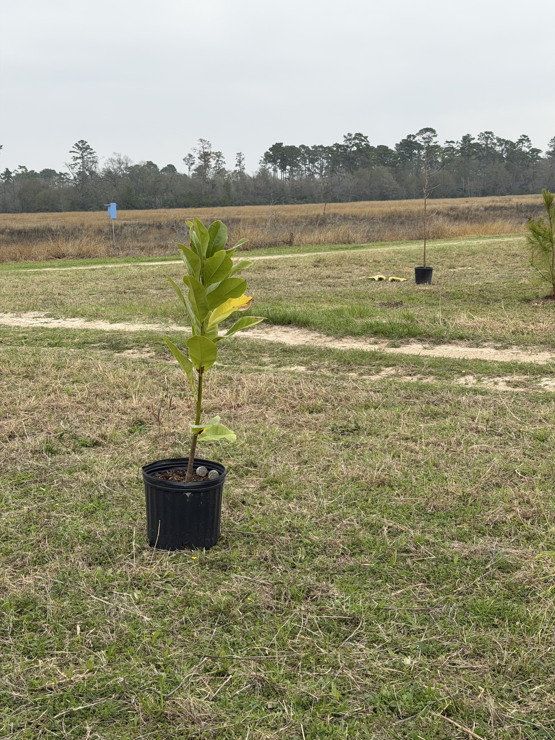 Livelihood event image