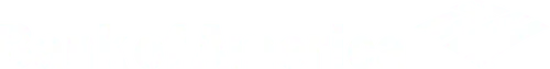 Bank of America Logo