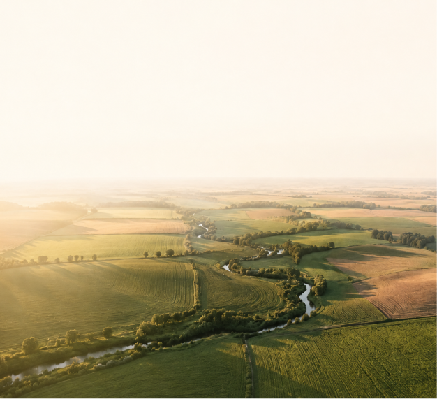 Aerial view of farmland at golden hour