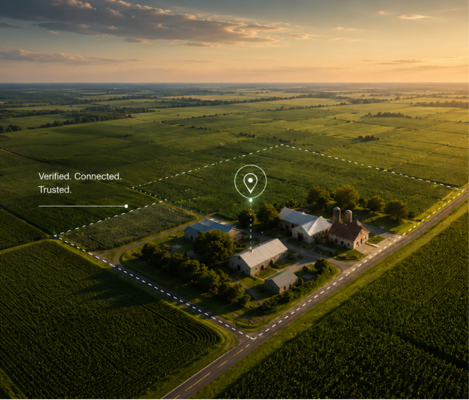 Aerial view of farmland at golden hour