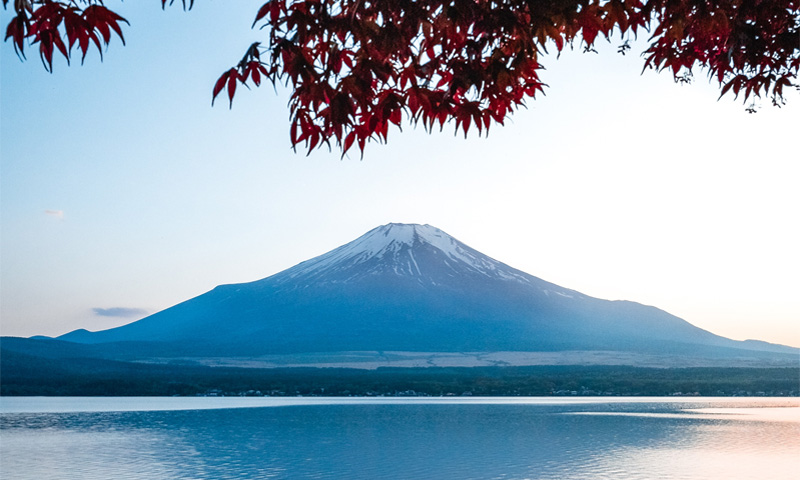 Japan - Land of the Autumn Sun (November 2022 and November 2023)