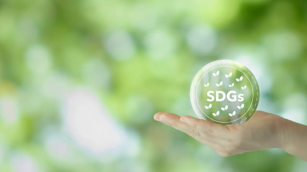 中高でのSDGsの教育 半数近くの教員が「積極的ではない」