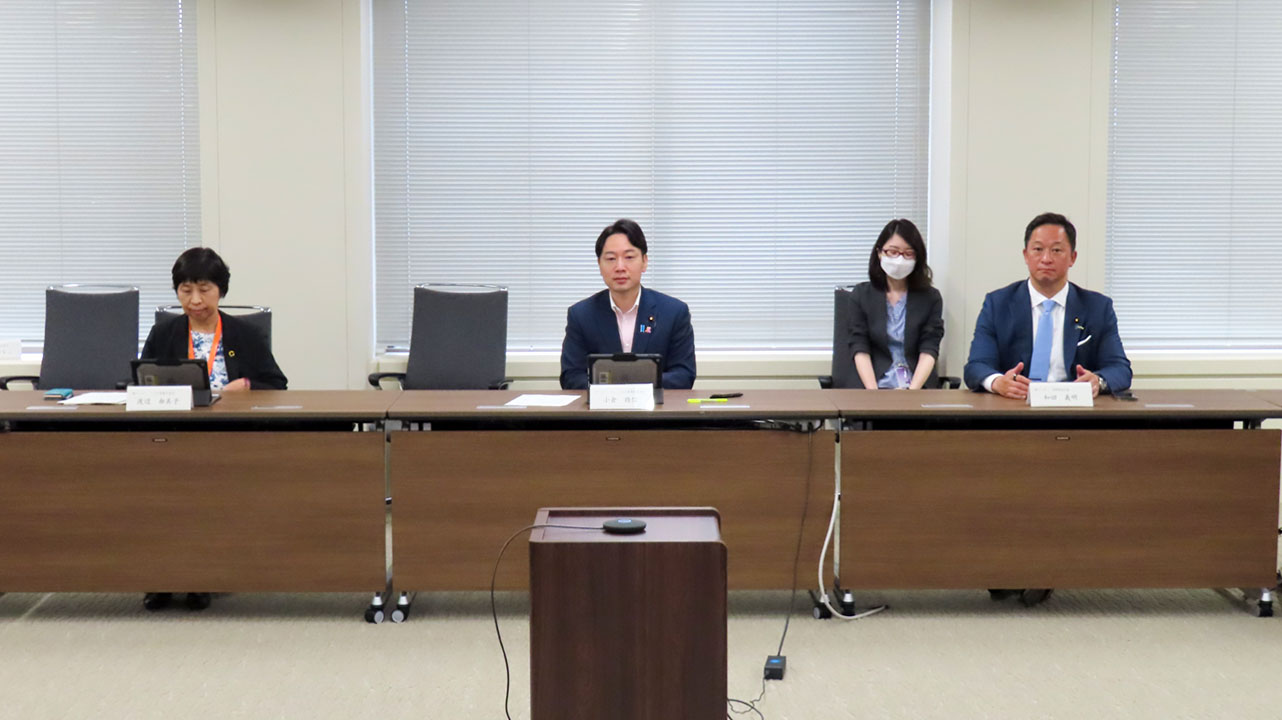 妊娠・出産手続きなどオンライン化 こども政策DX推進チーム