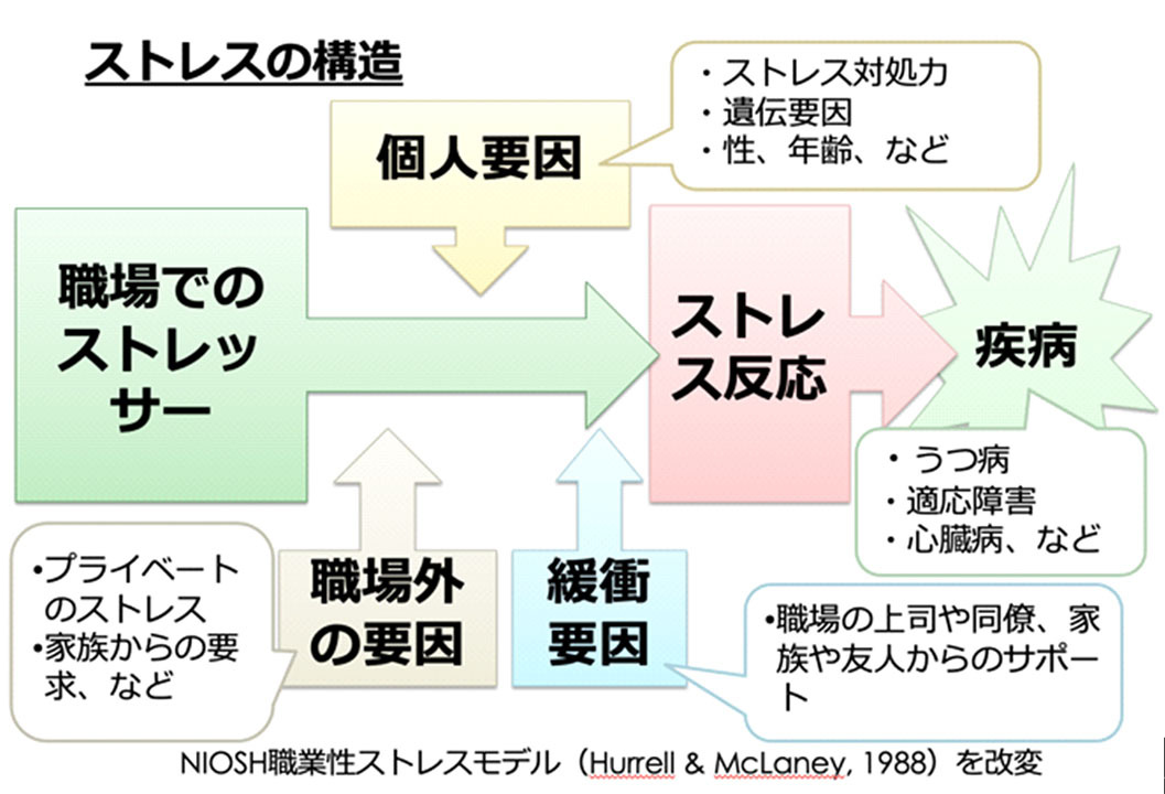 ストレスの構造
