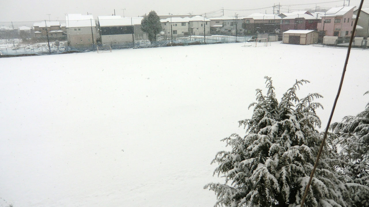 離島除く都内全域で大雪警報 入試の私立高では帰宅に影響も